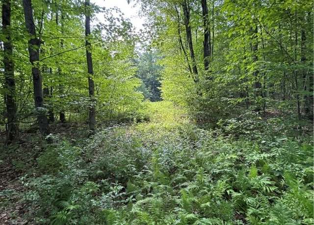 Property at 172 Aurora Dr, Norwich, NY 13815