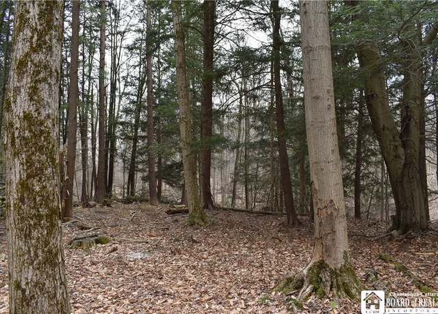 Property at 0 Hammond Hill Rd, East Otto, NY 14729