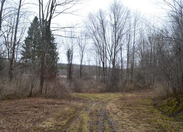 Property at 1377 Vrolyk Rd, Georgetown, NY 13334, 2 beds, 1 bath
