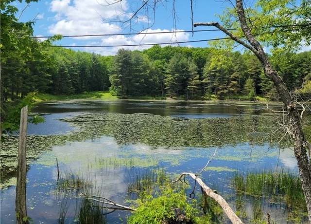 Property at Lot# 5 County Route 13, Pittsfield, NY 13411