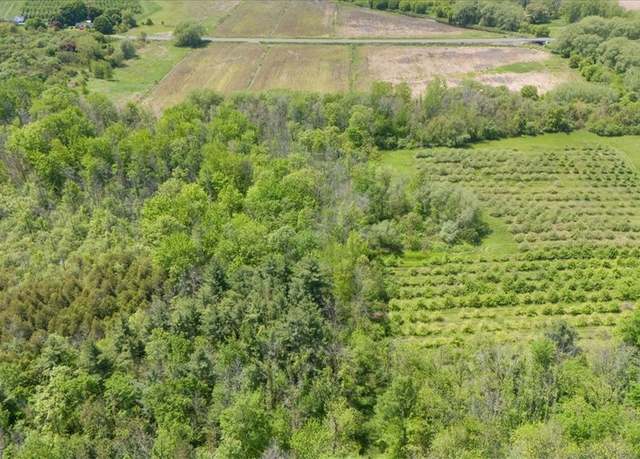 Property at VL East S Centenary Rd, Sodus, NY 14551