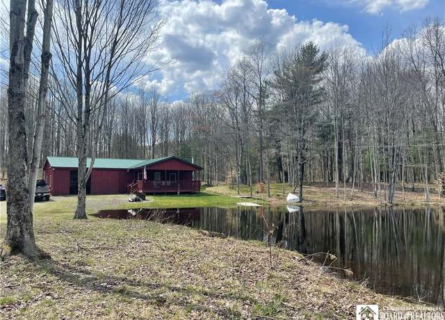 Property at 10372 Rt 242 (off), Napoli, NY 14772