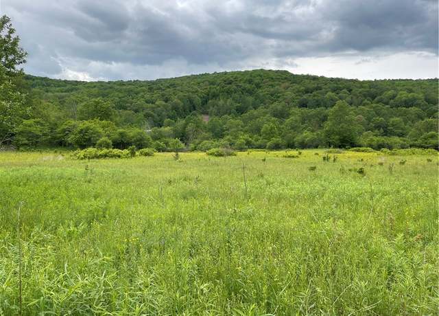 Property at 0 County Highway 33, Kortright, NY 13739