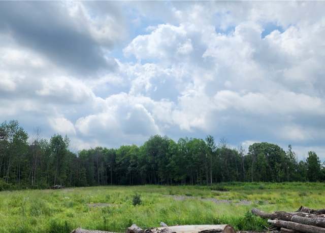 Property at 2516 Brickyard Rd, Canandaigua-town, NY 14424