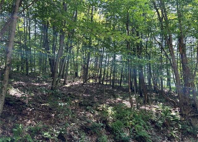 Property at Old Gladstone Holw, Andes, NY 13731