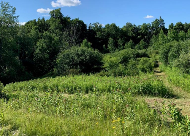 Property at 0 County Road 16, Dix, NY 14891