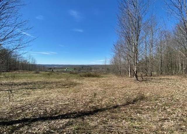 Property at 0 Sam Holdridge Rd, Burlington, NY 13315