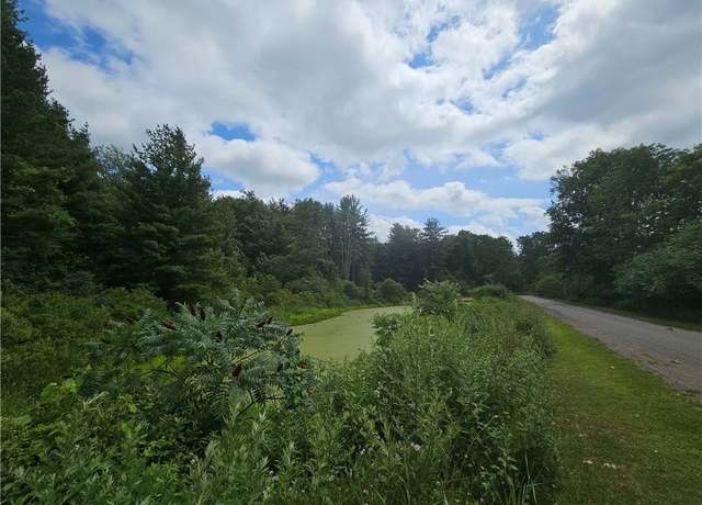 Property at 00 Railroad Ave, Angelica, NY 14709