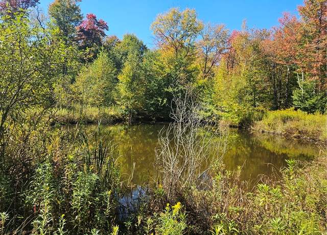 Property at 2881 County Highway 39, Decatur, NY 12197
