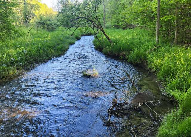 Property at 0 Tabors Corners Rd, Springwater, NY 14560
