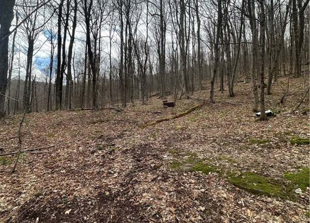 Property at Kims Way, Stamford, NY 12167