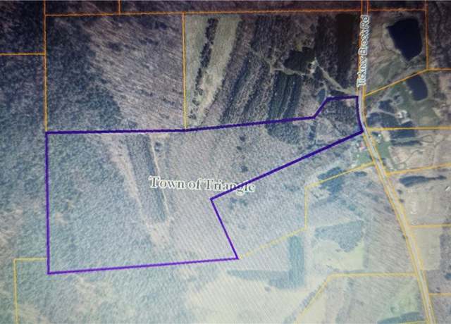 Property at 277 Ticknor Brook Rd, Triangle, NY 13862