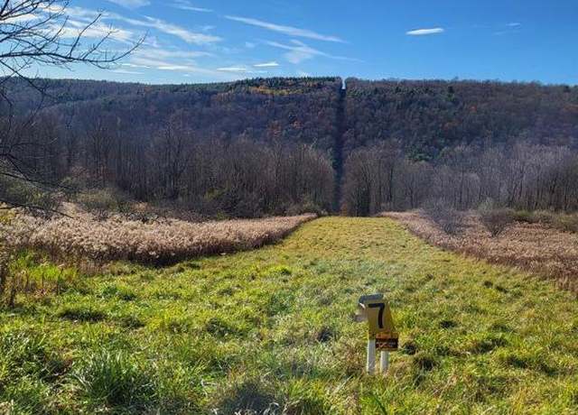Property at 00 Newtown, Catharine, NY 14869