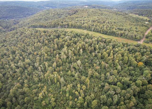 Property at 00 Doolittle Rd, Baldwin, NY 14859