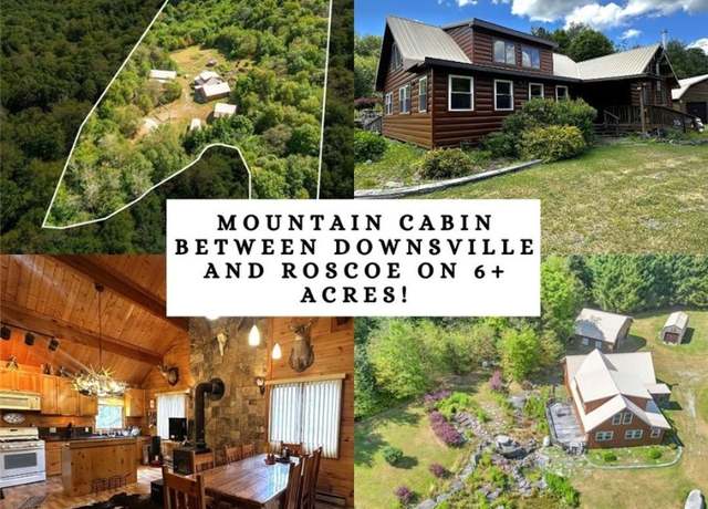 Property at 588 Buck Mountain Rd, Colchester, NY 13755, 3 beds, 2 baths