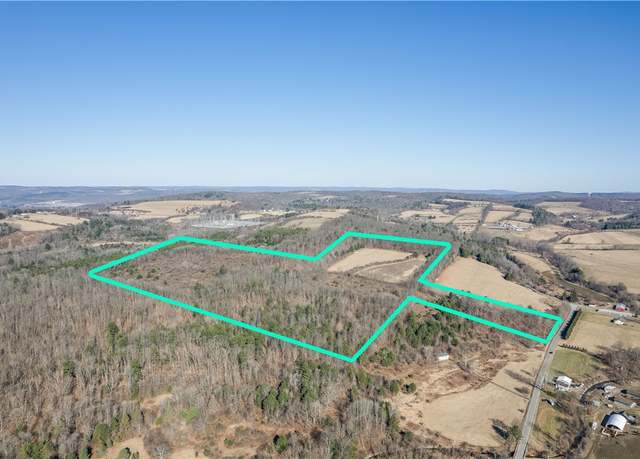 Property at 365 Monkey Run Rd, Elmira, NY 14901