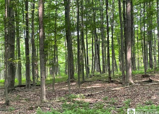 Property at 1479 Orr St. Ext, Busti, NY 14701