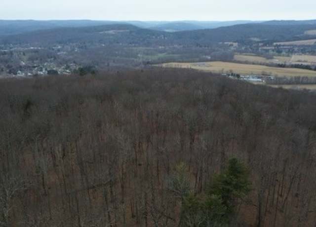 Property at 0 Pine Hill Rd, Sidney, NY 13838