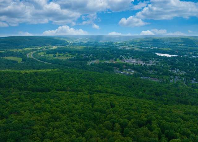 Property at 0 Pine Hill Rd, Sidney, NY 13838