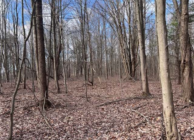 Property at 0 Ryther Rd, Evans, NY 14006