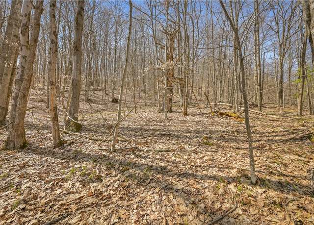 Property at L9.114 Lutheranville Rd, Summit, NY 12064