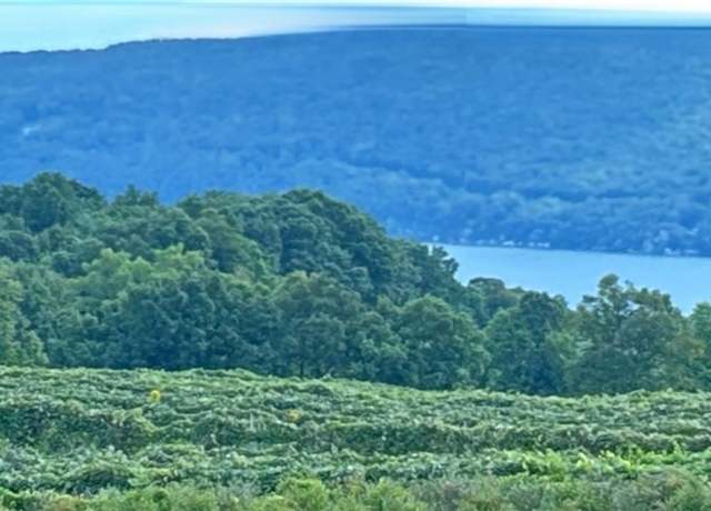 Property at 5720 State Route 21 Hwy, South Bristol, NY 14512