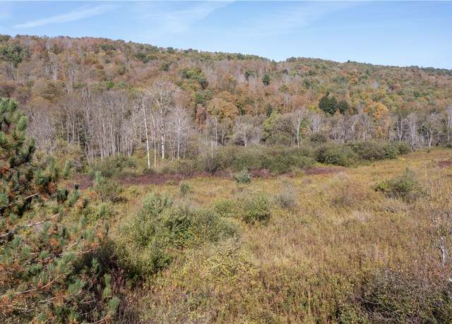 Property at 0 Cr-7, Wheeler, NY 14809