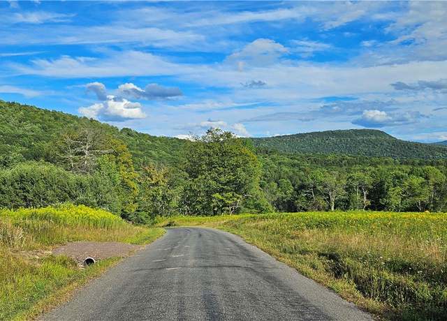 Property at 00 Shaver Hollow Rd, Andes, NY 13731