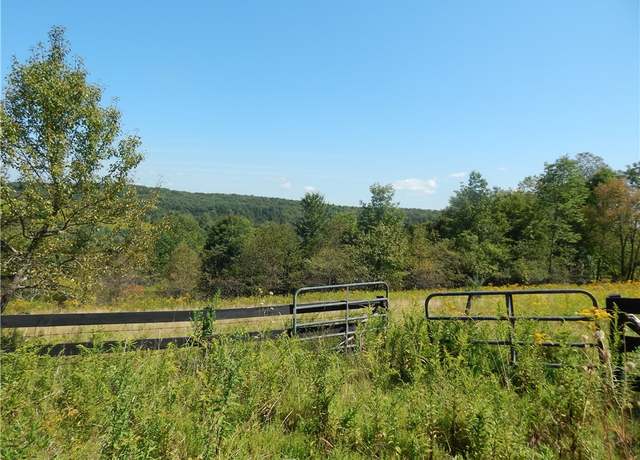Property at 0 County Route 13, Pittsfield, NY 13411