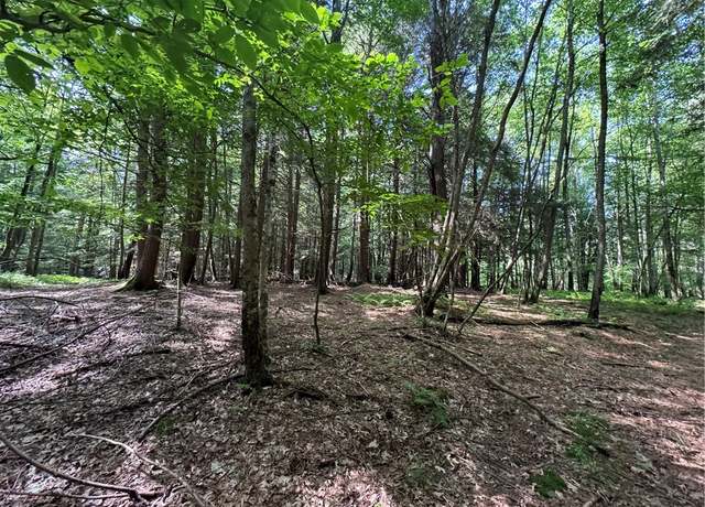 Property at 5757 State Highway 7, Oneonta, NY 13820