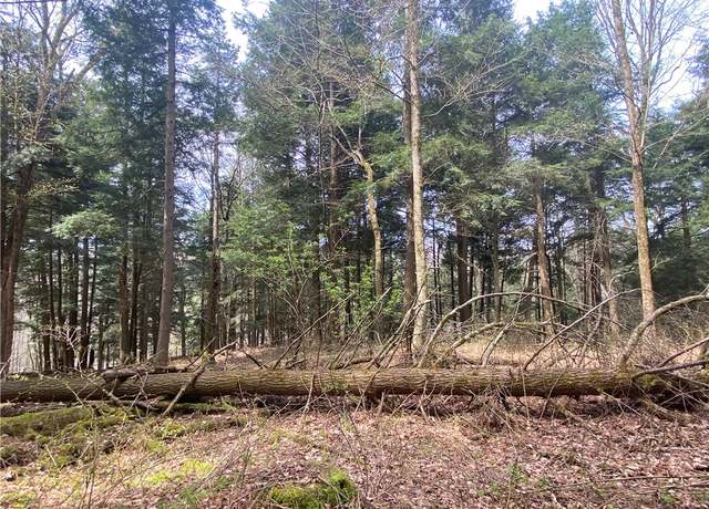 Property at Lot A Piermott Ln, Hartwick, NY 13348