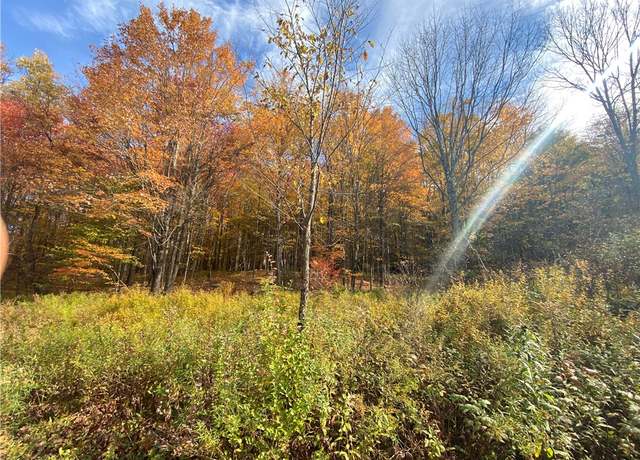 Property at 535 Scutt Mtn. Rd, Stamford, NY 13739