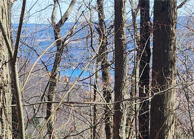 Property at County Road 13, Urbana, NY 14810