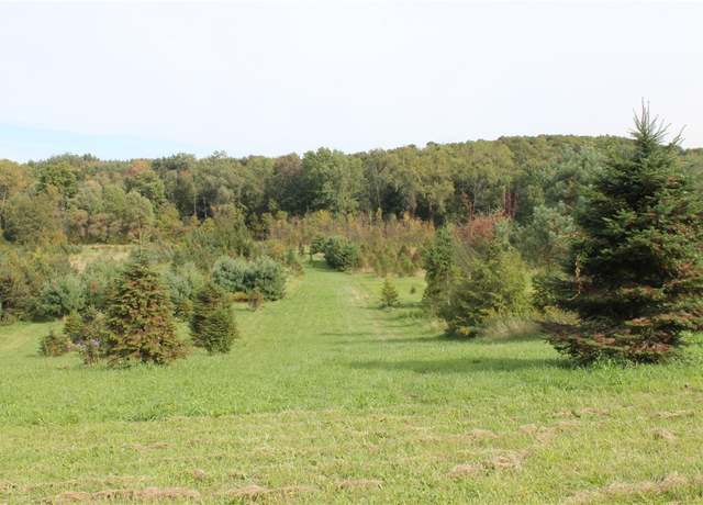 Property at 750 Alderman Rd, Macedon, NY 14502