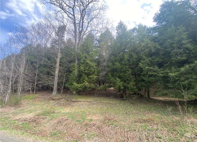 Property at Lot B Piermott Ln, Hartwick, NY 13348