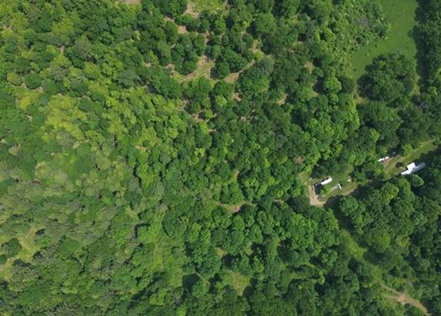 Property at 0 Mason Hill Rd./jakes Ln, Gibson, PA 15832