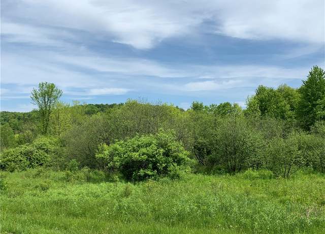 Property at 0 Bingham Collins Rd, Columbus, NY 13460
