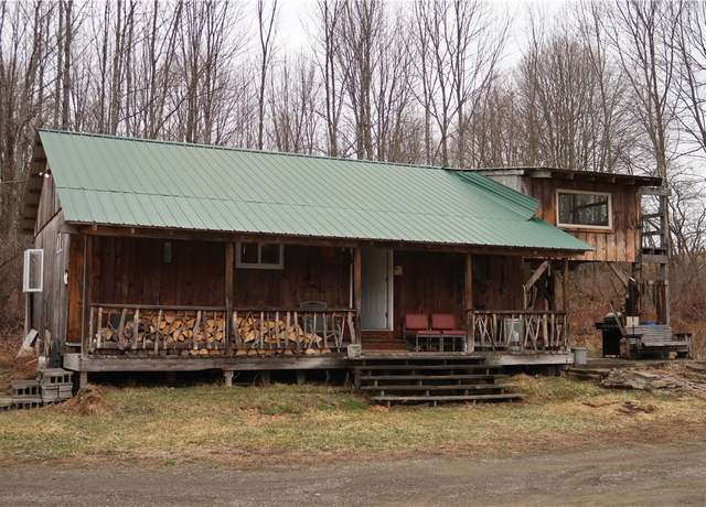 Property at 5156 Carr Rd, Willet, NY 13863, 2 beds