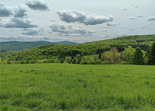 Property at John Rice Rd, Kortright, NY 13739
