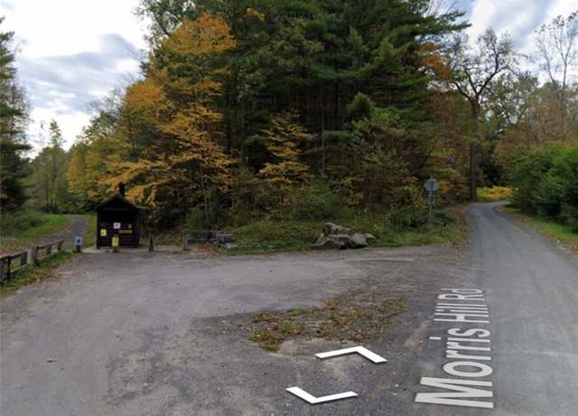 Property at Morris Hill Rd, Veteran, NY 14864
