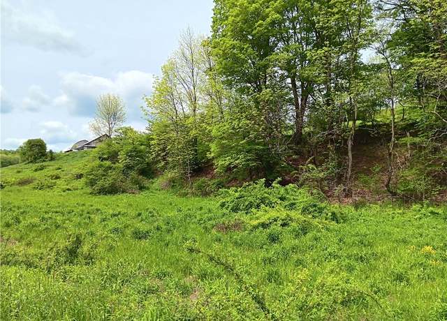 Property at Kiff Brook Rd, Kortright, NY 13739