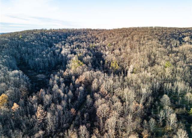 Property at 0 Ingraham Rd, Amity, NY 14813