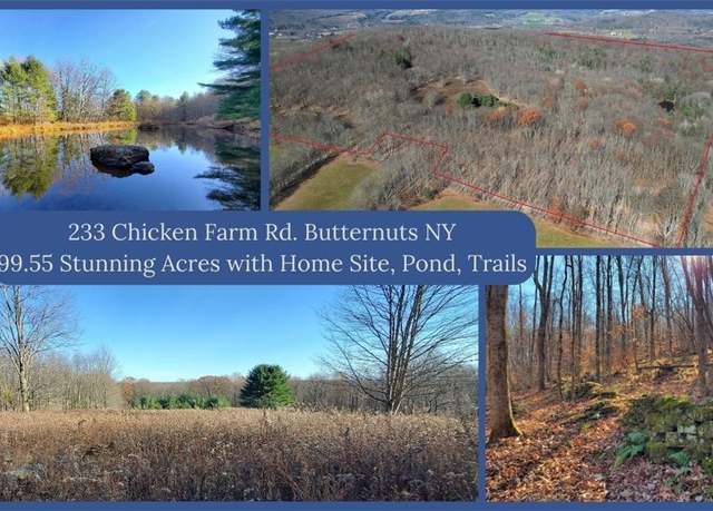 Property at 233 Chicken Farm Rd, Butternuts, NY 13776
