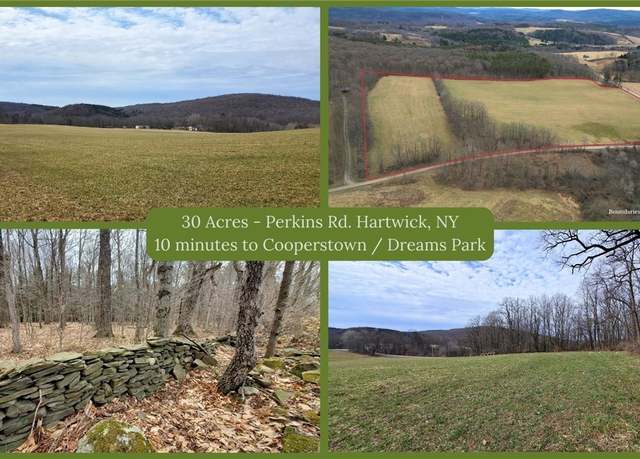 Property at 0 Perkins Rd, Hartwick, NY 13348