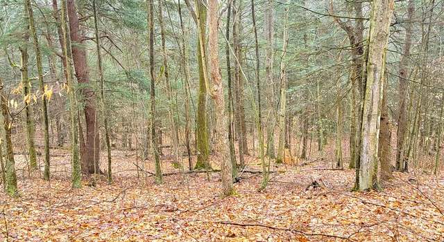 Photo of 0 Sugar Hill Rd, Orange, NY 14812