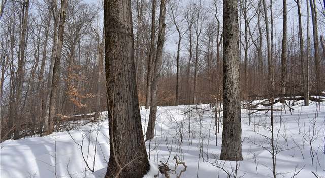 Photo of 0 Morgan Holw, Franklinville, NY 14737
