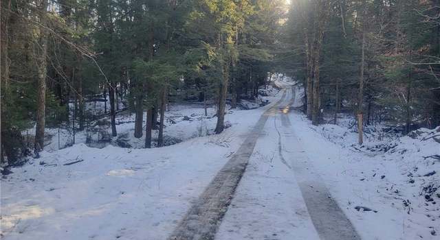 Photo of 0 Seven Ponds Rd, Summit, NY 12175