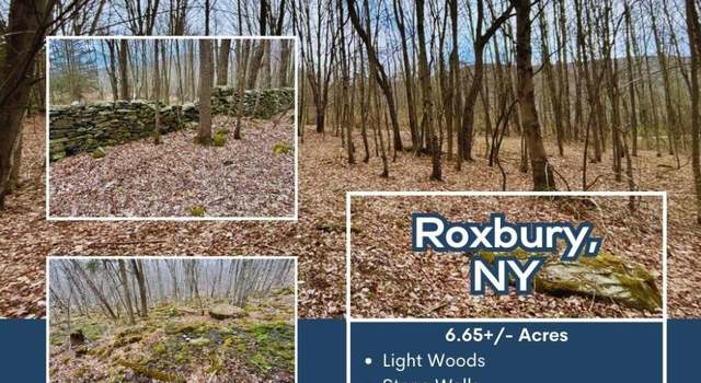 Photo of Lot 43 George Lawrence Rd, Roxbury, NY 12421