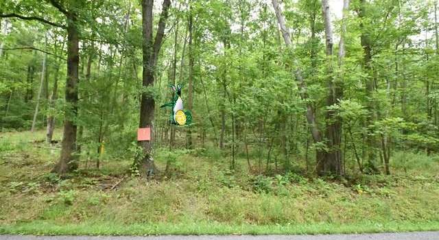 Photo of Lot 8 Hibbard Rd, Big Flats, NY 14845