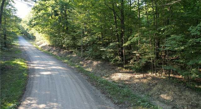 Photo of Lot 2 Lockwood Run Rd E, Baldwin, NY 14902